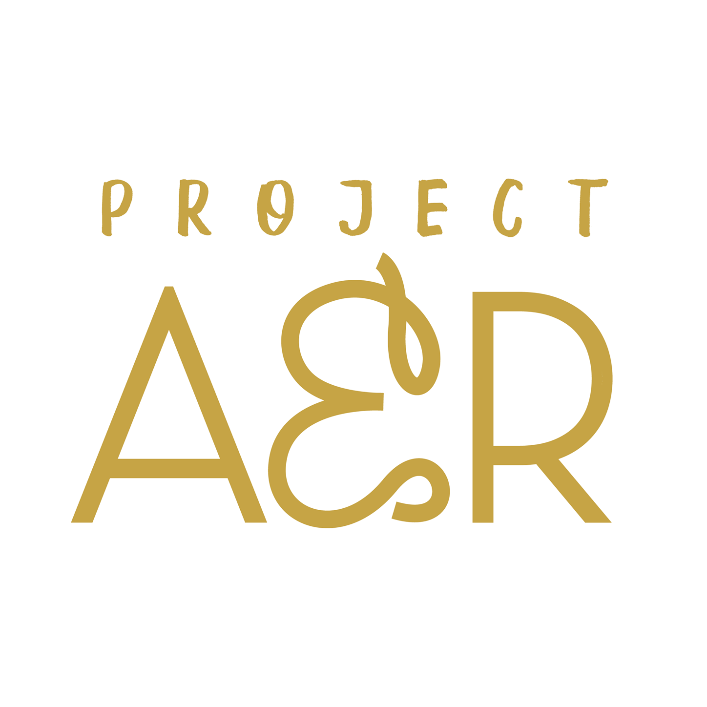 Project AER