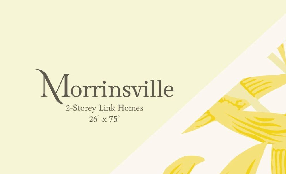 morrinsville
